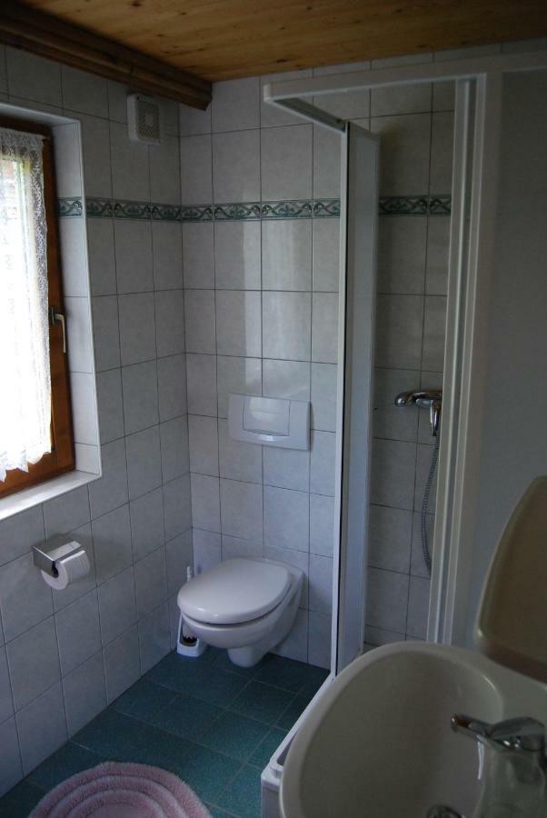 Pension Wassererhof Gerlos Buitenkant foto